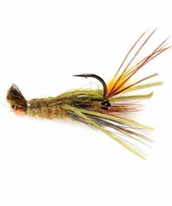 Pacemakerco.shop0026713705 1