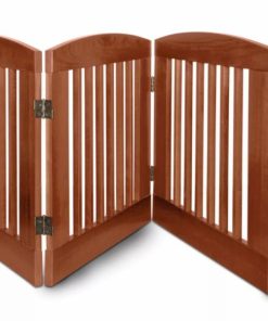 Pacemakerco.shop015fa874f0 1