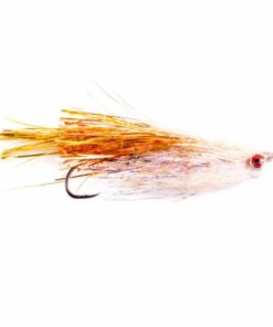 Pacemakerco.shop01c6cf8f7b 1