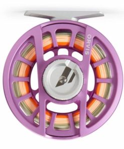 Pacemakerco.shop0322090747 5