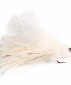 Pacemakerco.shop08028fefe4 1