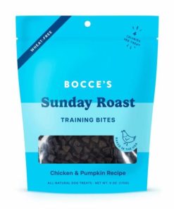 Pacemakerco.shop09ed4a05d5 1