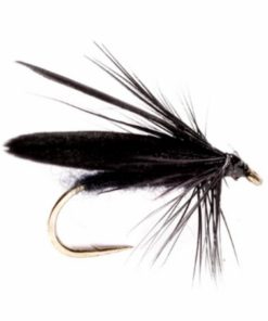 Pacemakerco.shop0b13eaf548 1