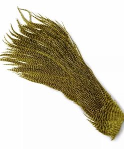 Pacemakerco.shop0bcebad137 1