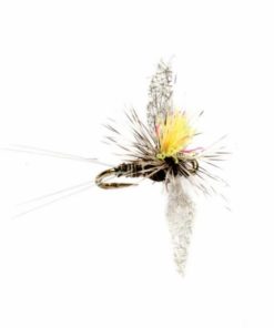 Pacemakerco.shop0cc6815304 1