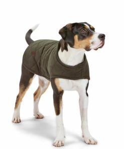 Pacemakerco.shop0cd1883805 1