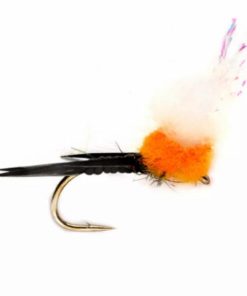 Pacemakerco.shop0e2e2c6f31 1