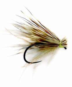 Pacemakerco.shop0e7cd28ae9 1