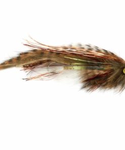 Pacemakerco.shop0ff06f85eb 1