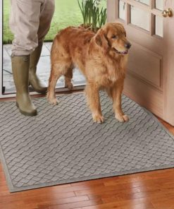 Pacemakerco.shop1132f15f84 1