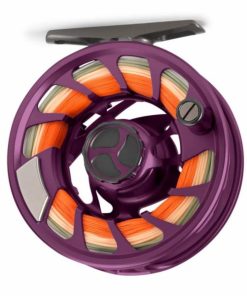 Pacemakerco.shop11c4b4fc2a 1