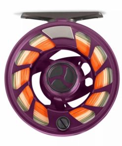 Pacemakerco.shop11c4b4fc2a 4