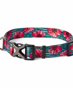 Pacemakerco.shop13c14ba48b 1