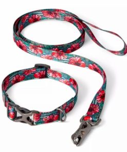 Pacemakerco.shop13c14ba48b 2