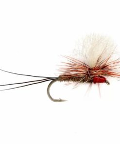 Pacemakerco.shop16cf0787c6 1