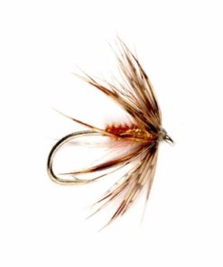 Pacemakerco.shop16fbc8b6f9 1