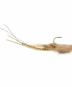 Pacemakerco.shop1794716682 1