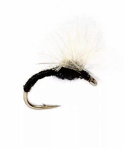 Pacemakerco.shop18dca0ac23 1