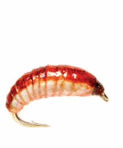 Pacemakerco.shop1944f7131e 1