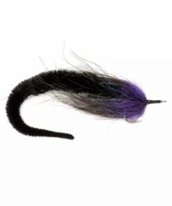 Pacemakerco.shop19844f3114 1