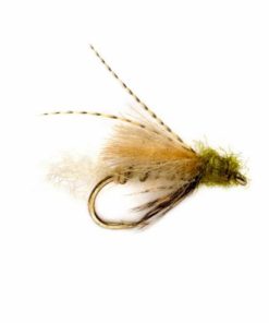 Pacemakerco.shop1a005d96a7 1