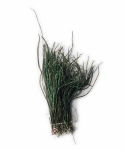 Pacemakerco.shop1a03a1adab 1