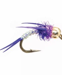 Pacemakerco.shop1ee704a301 1