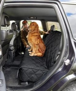 Pacemakerco.shop1fff1f990d 1