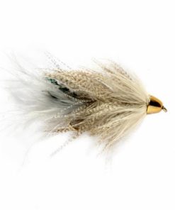 Pacemakerco.shop226692379b 1