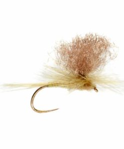 Pacemakerco.shop22ad82e6be 1