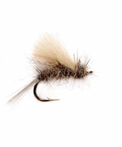 Pacemakerco.shop23c009770b 1