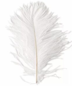 Pacemakerco.shop25aa36d75f 1