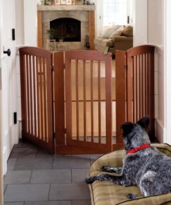 Pacemakerco.shop2664469ce3 1