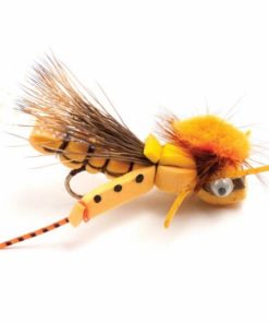 Pacemakerco.shop279837f5dd 1