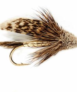 Pacemakerco.shop280b3c3416 1