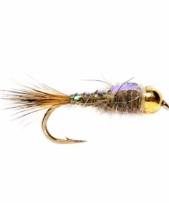 Pacemakerco.shop288589eb2d 1