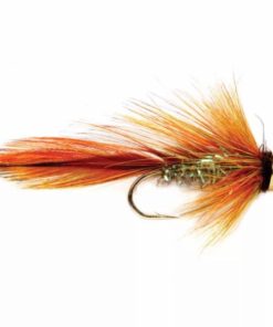 Pacemakerco.shop28a5732ae9 1