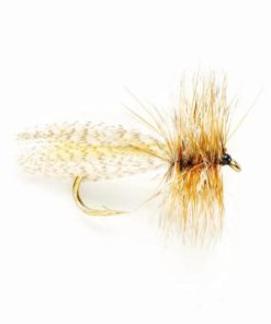 Pacemakerco.shop29156ab060 1