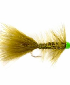 Pacemakerco.shop29fb9642cb 1