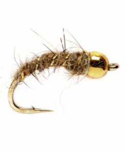 Pacemakerco.shop2b3500e666 1