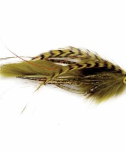 Pacemakerco.shop2c9fa1675b 1