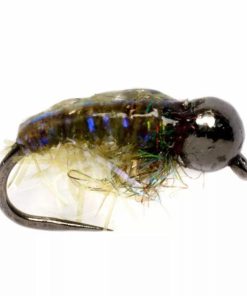 Pacemakerco.shop2d9c333b75 1