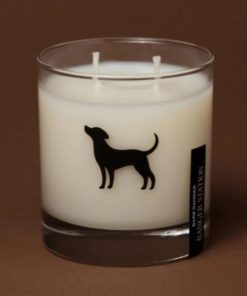 Pacemakerco.shop2e00548c88 1