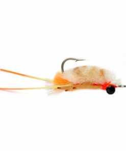 Pacemakerco.shop2ee11cde32 1