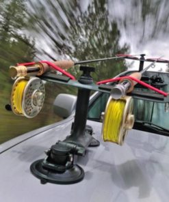 Pacemakerco.shop2fbcc94899 1