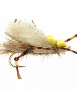 Pacemakerco.shop30e95a8830 1