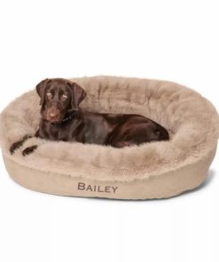 Pacemakerco.shop31071b5e44 1