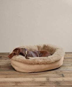 Pacemakerco.shop31071b5e44 4