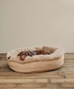 Pacemakerco.shop31071b5e44 5