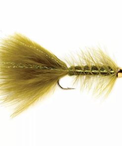 Pacemakerco.shop312bfc651a 1